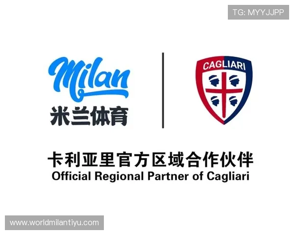 米兰app官网入口官方入口链接安全性分析保障用户账号安全